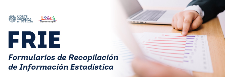 Formulario de Recopilación de Información Estadística (FRIE)