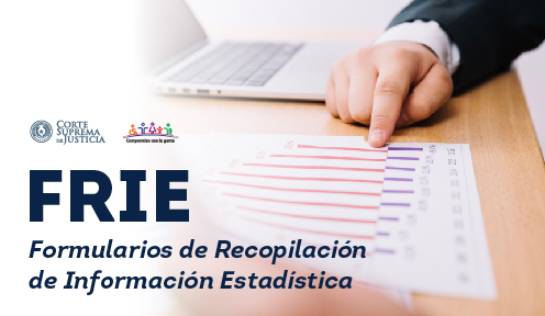 Formulario de Recopilación de Información Estadística 