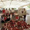 Campaña Zapatos Rojos 