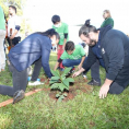 "Reforestando Justicia", Parque Solidaridad de Asunción.