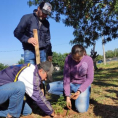 "Reforestando Justicia", Concepción.