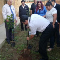 "Reforestando Justicia", Cordillera. 