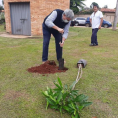 "Reforestando Justicia", Cordillera. 