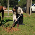 "Reforestando Justicia", Caazapá. 