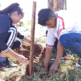 "Reforestando Justicia", Concepción.