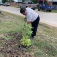 "Reforestando Justicia", Alto Paraguay.