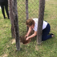 "Reforestando Justicia", Alto Paraguay.