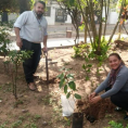 "Reforestando Justicia", Cordillera. 