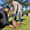 "Reforestando Justicia", Concepción.