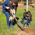 "Reforestando Justicia", Caazapá. 