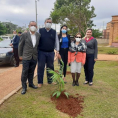 "Reforestando Justicia", Cordillera. 