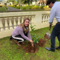 "Reforestando Justicia", Cordillera. 