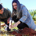 "Reforestando Justicia", Concepción.