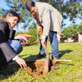 "Reforestando Justicia", Concepción.