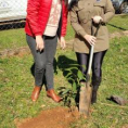 "Reforestando Justicia", Caazapá. 