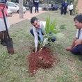 "Reforestando Justicia", Cordillera. 