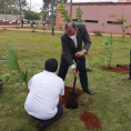 "Reforestando Justicia", Cordillera. 