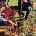 "Reforestando Justicia", Concepción.