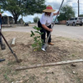 "Reforestando Justicia", Alto Paraguay.