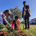 "Reforestando Justicia", Concepción.