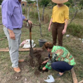 "Reforestando Justicia", Alto Paraguay.