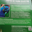 El tráfico de fauna silvestre es el cuarto negocio ilícito más rentable del mundo con ingresos anuales de 23 billones de dólares.