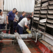 Durante el recorrido en diferentes áreas de la institución y alrededores para detectar los potenciales criaderos de agua y proceder a su eliminación.