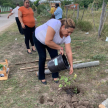 Los plantines de Nim, Tajy y Pajagua naranja fueron los seleccionados.