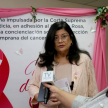 La ministra Llanes resaltó la importancia de la adhesión de la Corte Suprema de Justicia a la campaña nacional del Octubre Rosa, recordando que, como todos los años, se desarrollan actividades de concienciación con el apoyo de distintas dependencias.