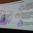 Proceso de fortalecimiento de los registros estadísticos sobre género en la máxima instancia judicial del país.