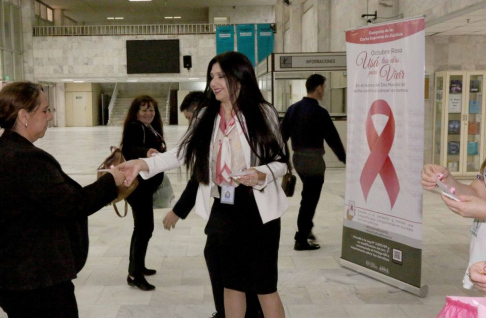 Octubre rosa: Lazos rosados recuerdan la importancia de los controles preventivos.