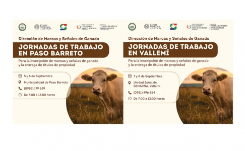 Marcas y Señales hará jornadas en Paso Barreto y Vallemí