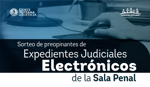 Listado de preopinantes de Expedientes Judiciales Electrónicos de la Sala Penal.