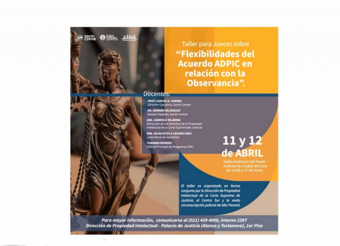 El taller se realizará en el Salón Auditorio del Palacio de Justicia de Ciudad del Este los días 11 y 12 de abril próximos.