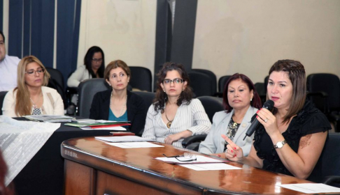 La viceministra de Salud, María Teresa Barán, da inicio a la reunión.