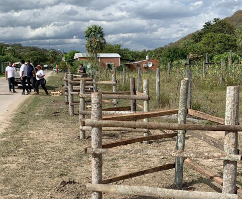 Jornada de arborización en Puerto Casado.