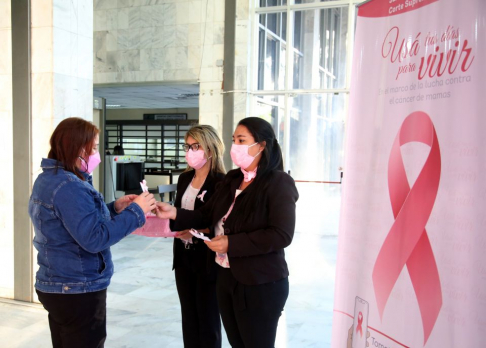 El 19 de octubre se celebra el Día Internacional de la Lucha contra el Cáncer de Mamas.