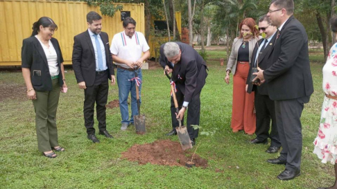 "Cordillera Arboriza": plantaron árboles. nativos en sedes judiciales de Altos y San Bernardino.