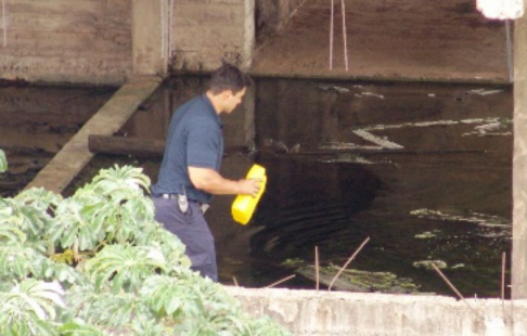 Funcionarios procedieron a la limpieza de un edificio contiguo al Palacio de Justicia.