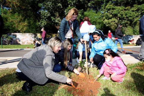 Articulan trabajos de mejoramiento del Parque de la Solidaridad.