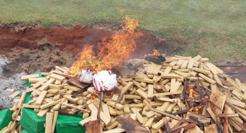 Jueza dispuso incinerar más de 5 toneladas de marihuana