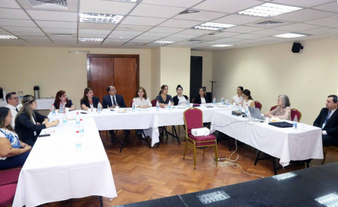 Trabajo interinstitucional estadístico sobre violencia hacia la mujer, apuntando a la prevención.