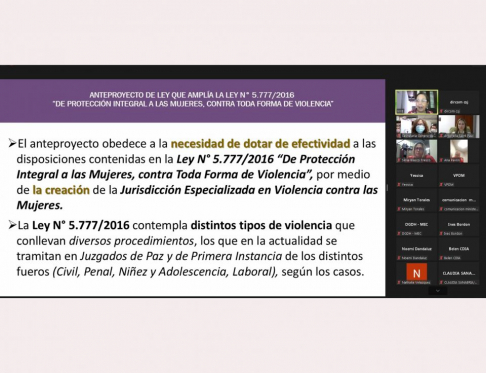 Anteproyecto de ley para creación de juzgados y tribunales especializados en violencia contra las mujeres.