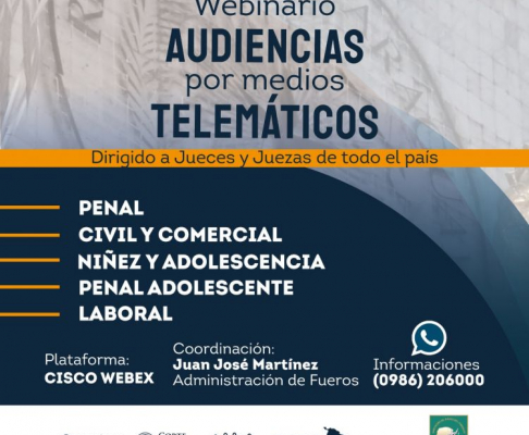 Webinario sobre audiencias por medios telemáticos