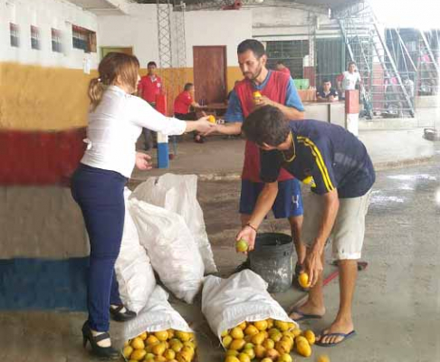 La Dirección de Justicia y Penitenciarías inició la campaña Mangos para Tacumbú. 