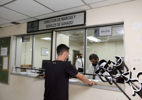 Jornadas de trabajo de Marcas y Señales en Presidente Hayes y Boquerón.