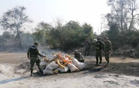 Jueza Penal de Garantías ordenó incineración de marihuana